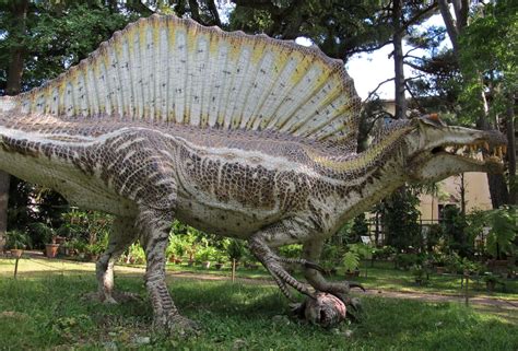 spinosaurus in real life.